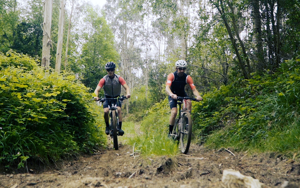 Bikes_Montaña